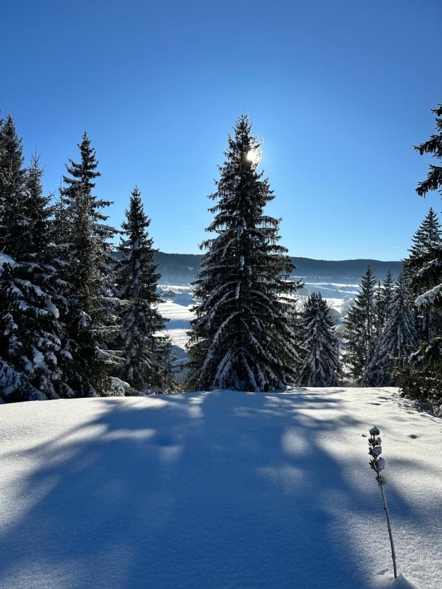 Le Belvedere Des Deux Lacs Brey-et-Maison-du-Bois Luaran gambar