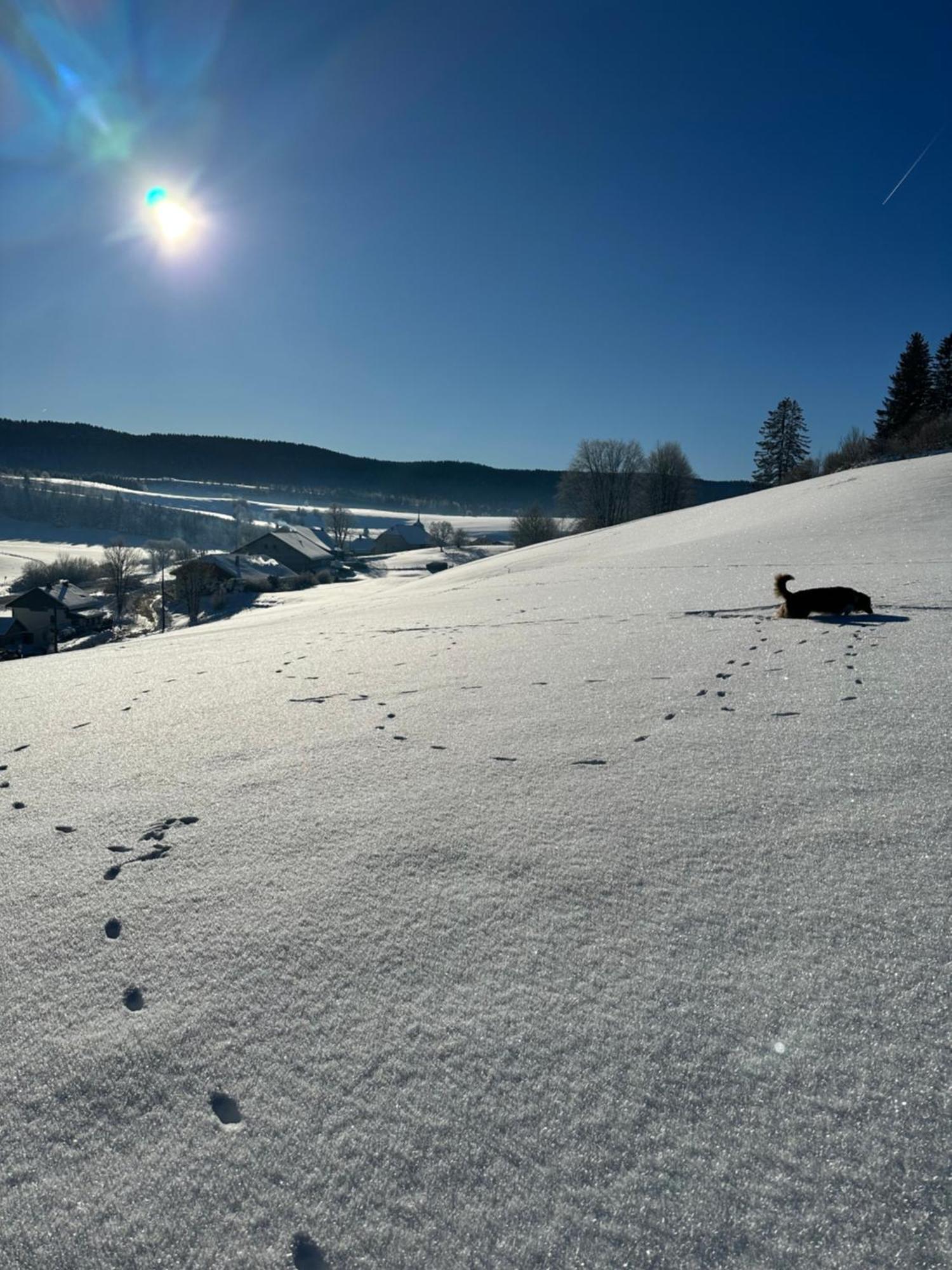 Le Belvedere Des Deux Lacs Brey-et-Maison-du-Bois Luaran gambar